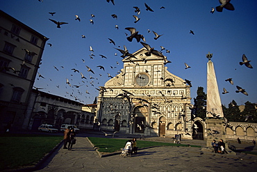 Pigeons in flight in the Piazza Santa Maria Novella, Florence, Tuscany, Italy, Europe