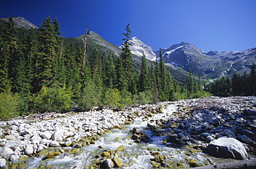 The Illercillewaet River valley and the Sir Donald Range of the Selkirk Mountains, Glacier National Park, British Columbia (B.C.), Canada, North America