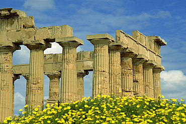 Temple amongst the spring flowers, Selinunte, established 5th century BC, Sicily, Italy, Europe