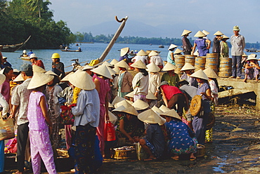 Women in conical hats at the fish market by the Thu Bon River in Hoi An, south of Danang, Vietnam, Indochina, Asia
