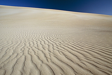 Ripples in sand dunes at Little Sahara on south coast, Kangaroo Island, South Australia, Australia, Pacific