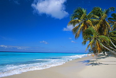 Worthing Beach on south coast of southern parish of Christ Church, Barbados, Caribbean, West Indies, Central America