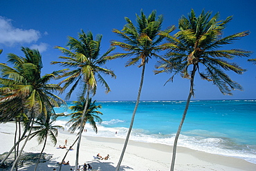 Aerial view over the beach at St.Philip Parish on the Atlantic coast, Barbados, Caribbean 