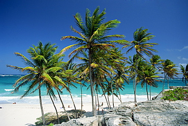 Tropical coastline at Bottom Bay, Barbados, West Indies, Caribbean, Central America