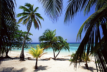 West Bay at the western tip of Roatan, largest of the Bay Islands, Honduras, Caribbean, Central America