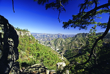 Copper Canyon, Sierra Madre Occidental, from the rim near Divisadero, Mexico, Central America