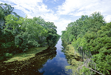 Bayou in swampland at Jean Lafitte National Historic Park and Preserve, south of New Orleans, Louisiana, United States of America (U.S.A.), North America