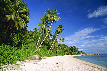 Tropical beach and palm trees on Perhentian Besar, larger of two Perhentian Islands with marine parks off the coast of Terengganu, Malaysia, Southeast Asia, Asia