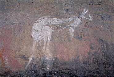 Painting of a kangaroo at Nourlangie Rock, the sacred aboriginal shelter and rock art site in the north east of Kakadu National Park, UNESCO World Heritage Site, Northern Territory, Australia, Pacific