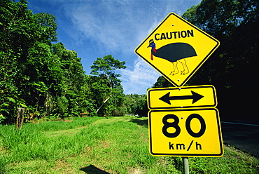 Warning road sign for cassowaries near Mission Beach on the northeast coast of Queensland, Australia, Pacific