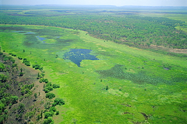 Wetlands on the floodplain of the East Alligator River that forms the border between Arnhemland and Kakadu National Park, Northern Territory, Australia