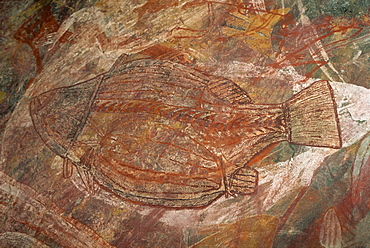 X-ray style fish at the Aboriginal rock art site at Ubirr Rock, Kakadu National Park, where paintings date from 20000 years old to present day, UNESCO World Heritage Site, Northern Territory, Australia, Pacific