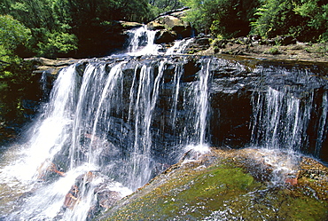 Wentworth Falls, Blue Mountains, New South Wales (NSW), Australia, Pacific