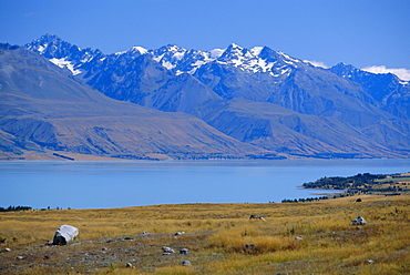 Lake Pukaki, Southern Alps, Canterbury, South Island, New Zealand, Australasia