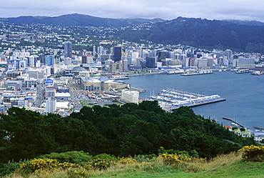 Looking north west from Mount Victoria towards Lambton Harbour and city centre, Wellington, North Island, New Zealand, Pacific