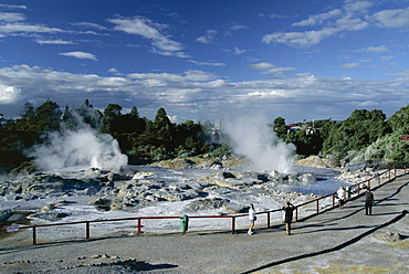 Erupting geysers and mineral terraces, Whakarewarewa thermal area, Rotorua, South Auckland, North Island, New Zealand, Pacific