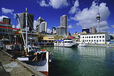 Boats on waterfront with skyline including Sky City Tower beyond, downtown Auckland, Central Auckland, North Island, New Zealand, Pacific