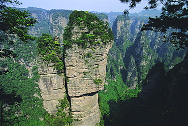 Spectacular limestone outcrops and forested valleys of Zhangjiajie Forest Park in the Wulingyuan Scenic Area, Hunan Province, China