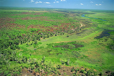 Aerial of wetlands on the floodplain of East Alligator River forming the border beween Arnhemland and Kakadu National Park in Northern Territory, Australia, Pacific