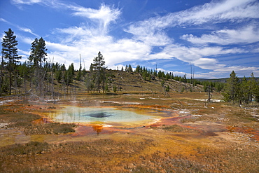 Thermal springs, Upper Geyser Basin, Yellowstone National Park, UNESCO World Heritage Site, Wyoming, United States of America, North America 