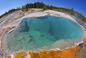 Black Pool, West Thumb Geyser Basin, Yellowstone National Park, UNESCO World Heritage Site, Wyoming, United States of America, North America 