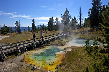 Tourists looking at Seismograph and Bluebell pools, West Thumb Geyser Basin, Yellowstone National Park, UNESCO World Heritage Site, Wyoming, United States of America, North America 