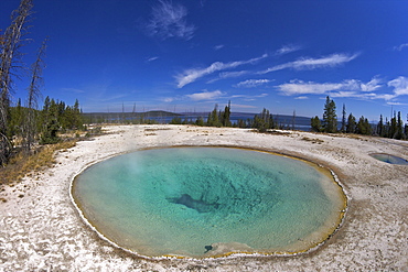 Blue Funnel spring, West Thumb Geyser Basin, Yellowstone National Park, UNESCO World Heritage Site, Wyoming, United States of America, North America 