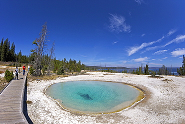 Blue Funnel spring, West Thumb Geyser Basin, Yellowstone National Park, UNESCO World Heritage Site, Wyoming, United States of America, North America 