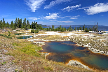 Blue Funnel spring, West Thumb Geyser Basin, Yellowstone National Park, UNESCO World Heritage Site, Wyoming, United States of America, North America 