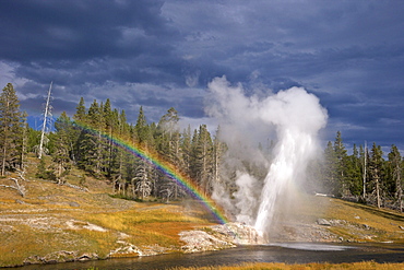 Riverside Geyser, Upper Geyser Basin, Yellowstone National Park, UNESCO World Heritage Site, Wyoming, United States of America, North America 