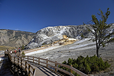 Mound Terrace, Mammoth Hot Springs, Yellowstone National Park, UNESCO World Heritage Site, Wyoming, United States of America, North America 