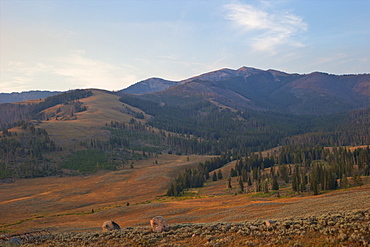 Mount Washburn in early morning light, Yellowstone National Park, UNESCO World Heritage Site, Wyoming, United States of America, North America 