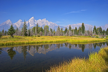 Snake River at the Schwabacher Landing, Grand Teton National Park, Wyoming, United States of America, North America 