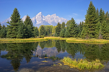 Snake River at the Schwabacher Landing, Grand Teton National Park, Wyoming, United States of America, North America 