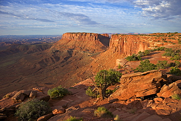 Grand View Point Overlook, Canyonlands National Park, Utah, United States of America, North America 