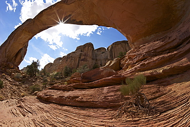 Hickman Bridge, Capitol Reef National Park, Utah, United States of America, North America 