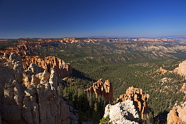 View early morning from Ponderosa Point, Bryce Canyon National Park, Utah, United States of America, North America 