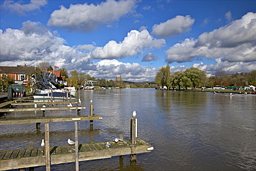 Riverside view in winter sunshine, Henley-on-Thames, Oxfordshire, England, United Kingdom, Europe 