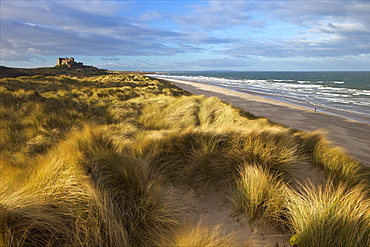 Marram grass, beach and surf with Bamburgh Castle in distance, Bamburgh, Northumberland, England, United Kingdom, Europe 