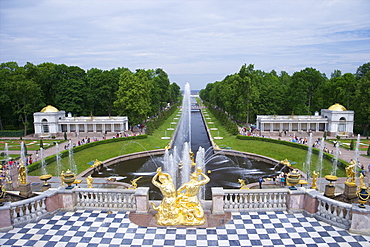 Peterhof Fountains of the Grand Cascade and gardens in summer, Petrodvorets, St. Petersburg, Russia, Europe 