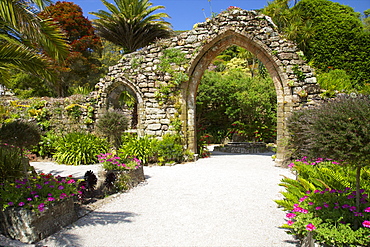 Abbey Gardens, Isle of Tresco, Isles of Scilly, United Kingdom, Europe 