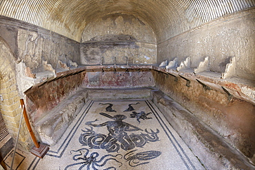 Floor of tepidarium in Roman central baths mosaic depicting Triton surrounded by dolphins, an octopus, squid and cherub with a whip, Herculaneum, UNESCO World Heritage Site, Campania, Italy, Europe