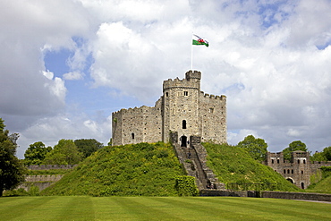 National Flag of Wales flying above the Norman Keep, Cardiff Castle, Cardiff, South Glamorgan, South Wales, Wales, United Kingdom, Europe