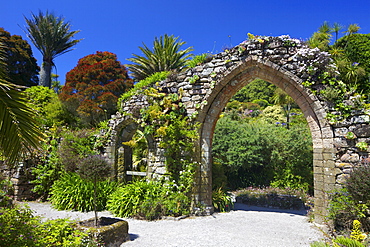 Old stone archway from the ruined abbey in the sub-tropical Abbey Gardens, Island of Tresco, Isles of Scilly, England, United Kingdom, Europe