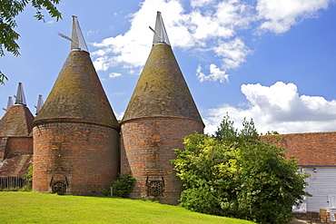 Oast houses (hop kilns) designed for kilning (drying) hops, Sissinghurst, Kent, England, United Kingdom, Europe