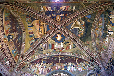 Ceiling frescoes by Andrea di Bonaiuto, Spanish Chapel, Santa Maria Novella, Florence, UNESCO World Heritage Site, Tuscany, Italy, Europe