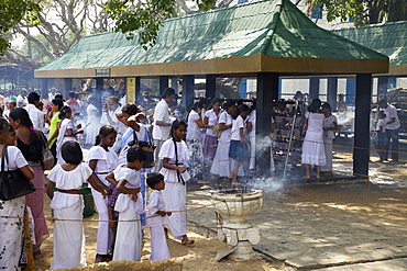 Buddhist pilgrims, Sri Maha Bodhi, sacred bodhi tree planted in 249 BC Unesco World Heritage Site, Anuradhapura, Sri Lanka, Asia