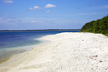 View of coral beach on Pigeon Island National Park, Trincomalee, Sri Lanka, Asia