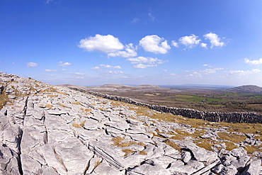 Limestone pavements, Burren, County Clare, Munster, Republic of Ireland, Europe