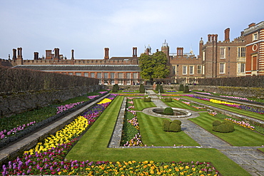 Formal gardens, Hampton Court Palace, Greater London, England, United Kingdom, Europe